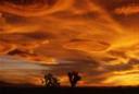 desert-sunset-small-2.jpg