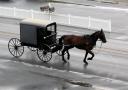 amish-buggy-small.jpg